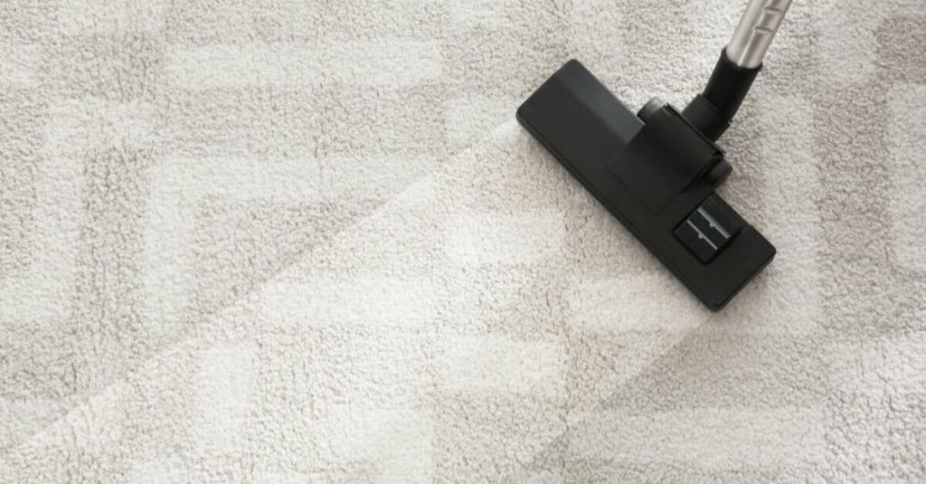 Our Top Tips for DIY and Professional Carpet Cleaning in Minneapolis ...